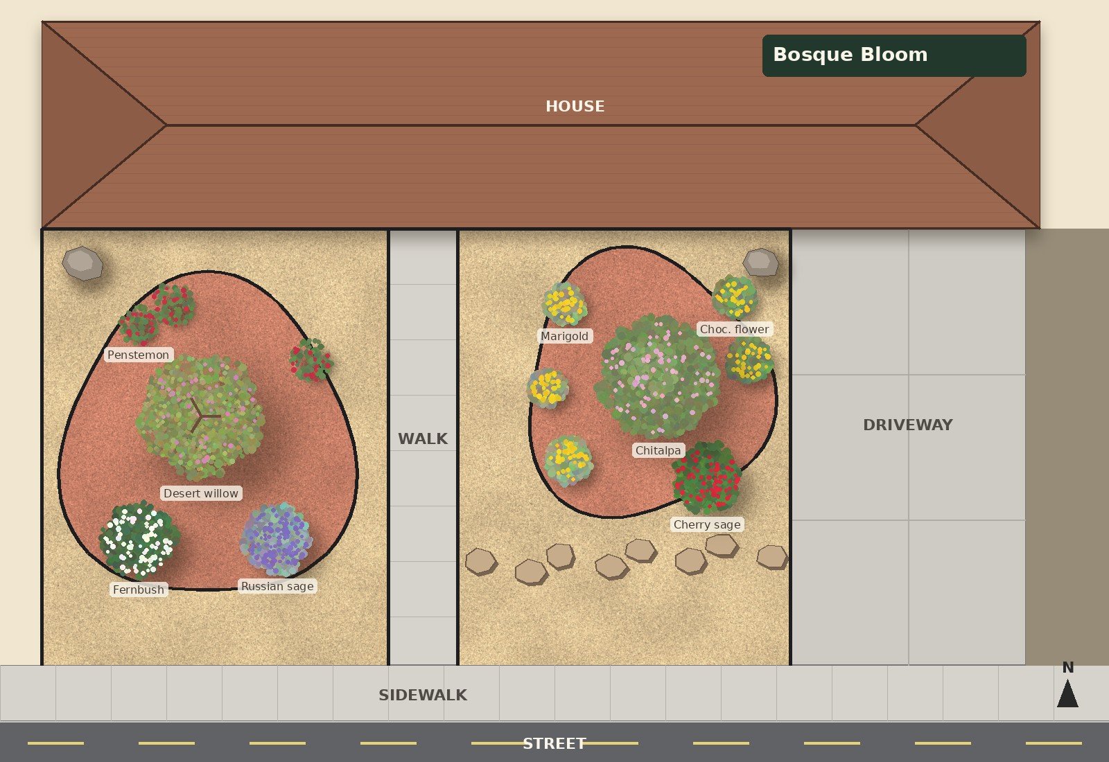 Bosque Bloom front yard design