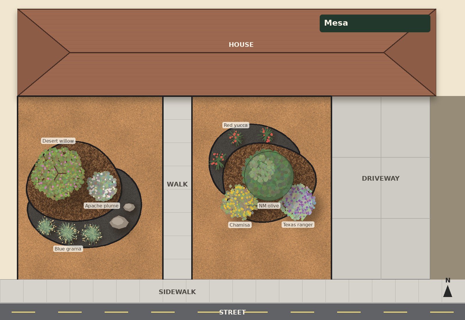 Mesa front yard design